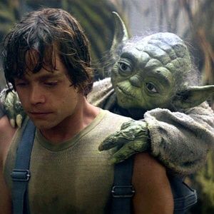 Meet your Posher, Ty